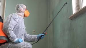 Why You Should Choose Our Mold Remediation Services in Norwalk, CA