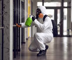 Reliable Norwalk, CA Mold Inspection Solutions